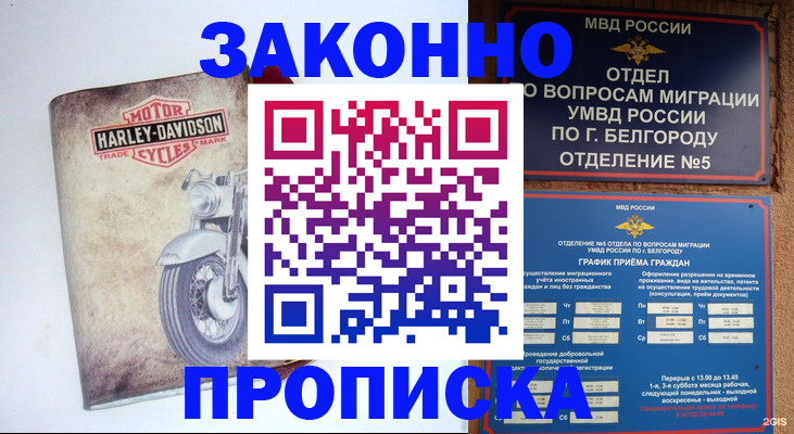прописка для школы в Фролово